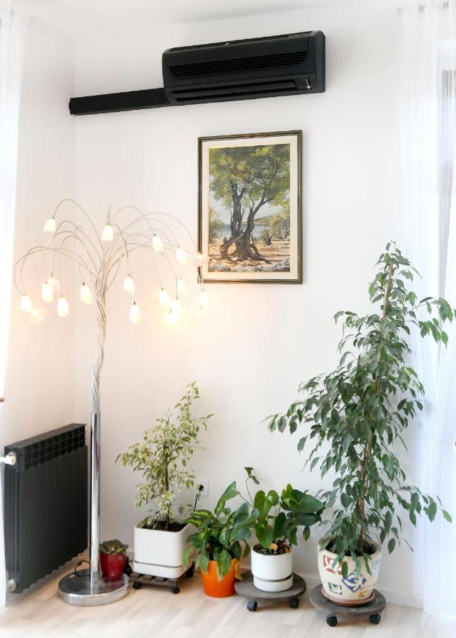 Divia Apartment Rijeka Zewnętrze zdjęcie